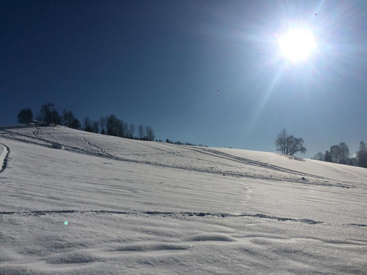 UBYTOVÁNÍ u BRABANTÍKA Desná Esterno foto